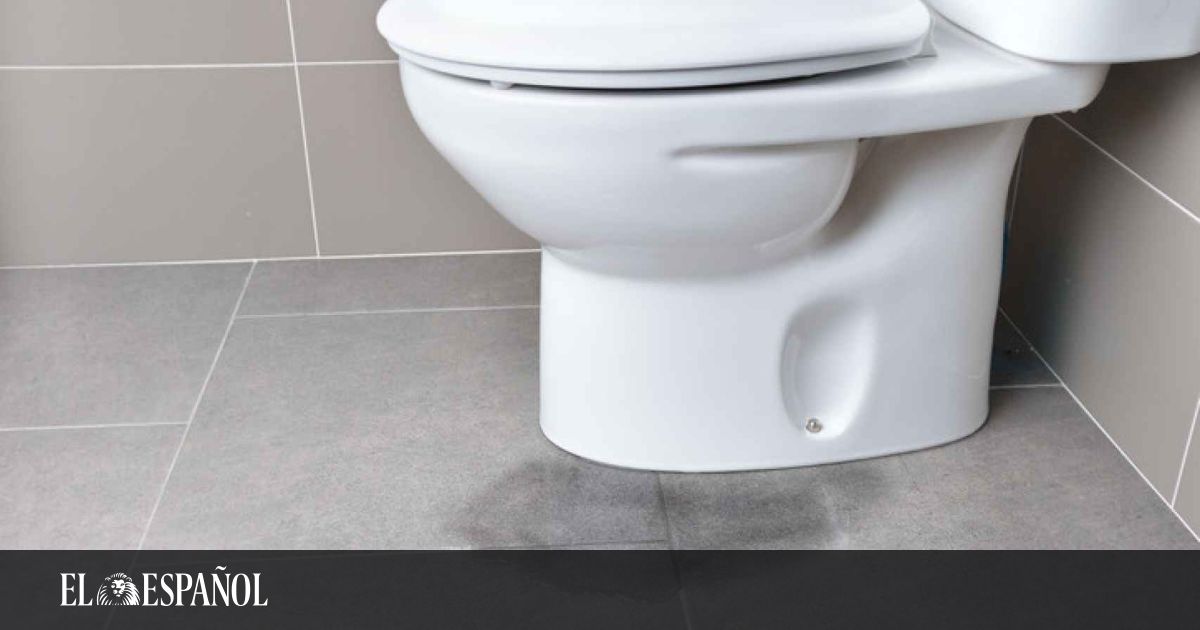 Limpiar WC químico: Productos y pasos a seguir para dejarlo limpio