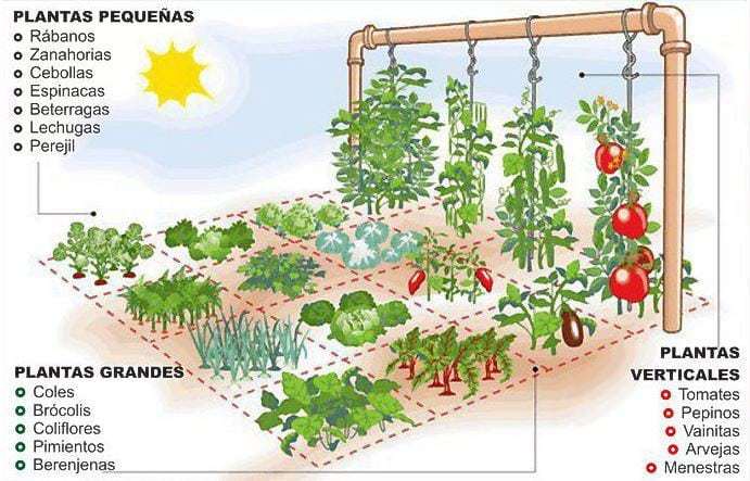 Proyecto de carrtito frutero parte 1 #losachos