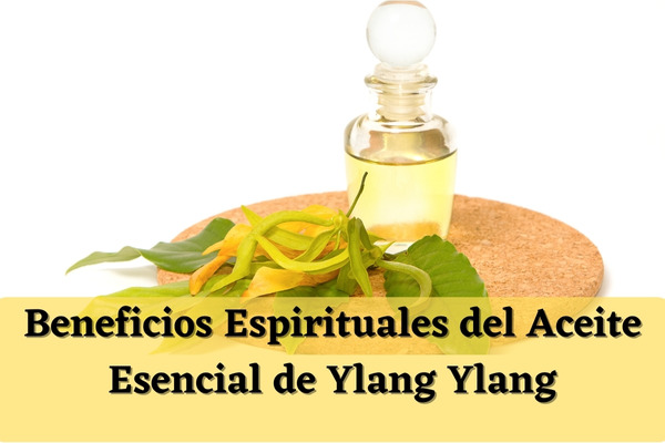 Aceite esencial de ylang ylang para favorecer la calma