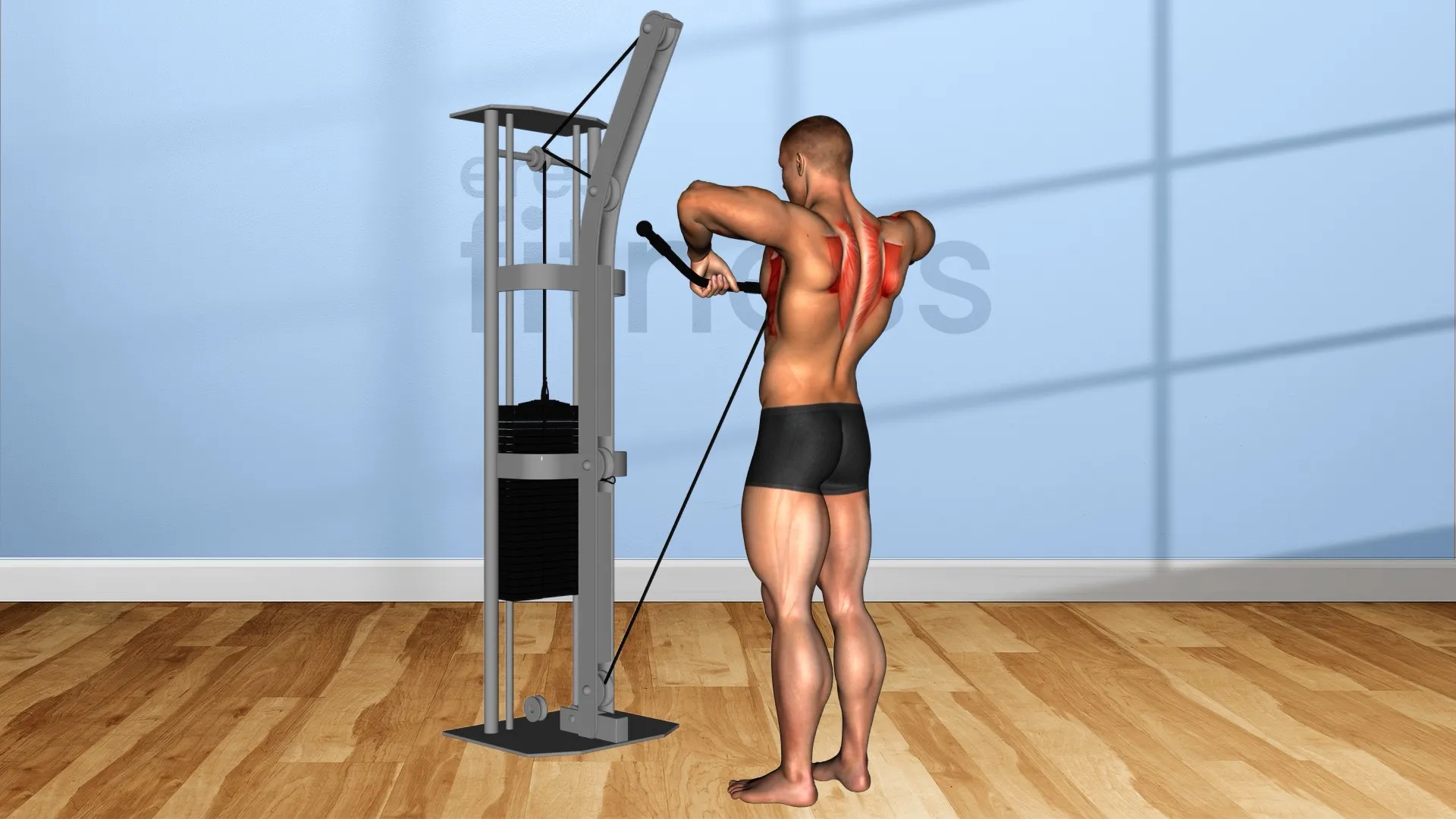 Ejercicios con poleas para tonificar el cuerpo - Beneficios de la máquina  de poleas del gimnasio