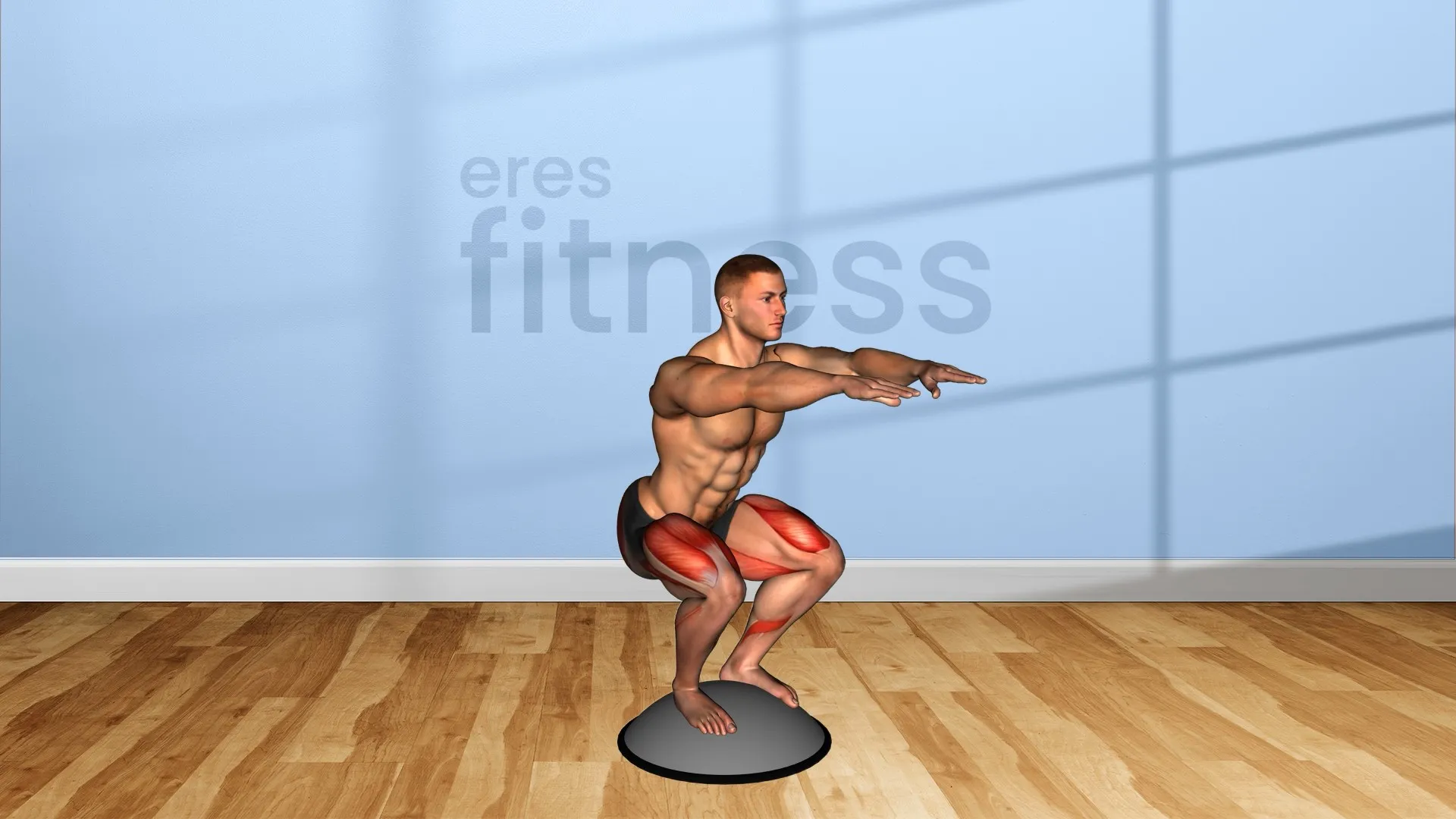 Equilibrio a una pierna sobre bosu - Entrenamientos y ejercicios
