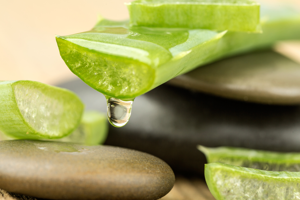 Sabés cuáles son los beneficios de Beber Jugo de Aloe Vera ?