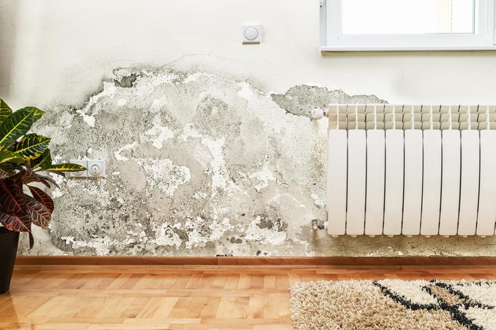 Cómo quitar manchas de humedad en la pared - Belleza estética