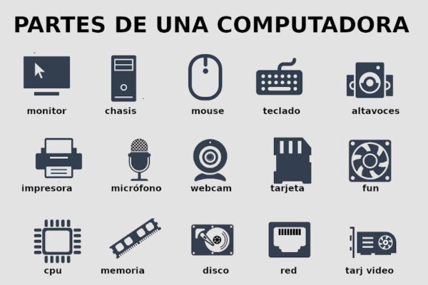 ¿cuáles Son Las Partes De Una Computadora Belleza Estética