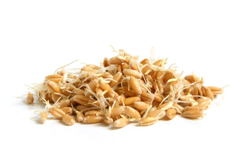 Germen de trigo: propiedades, beneficios y valor nutricional