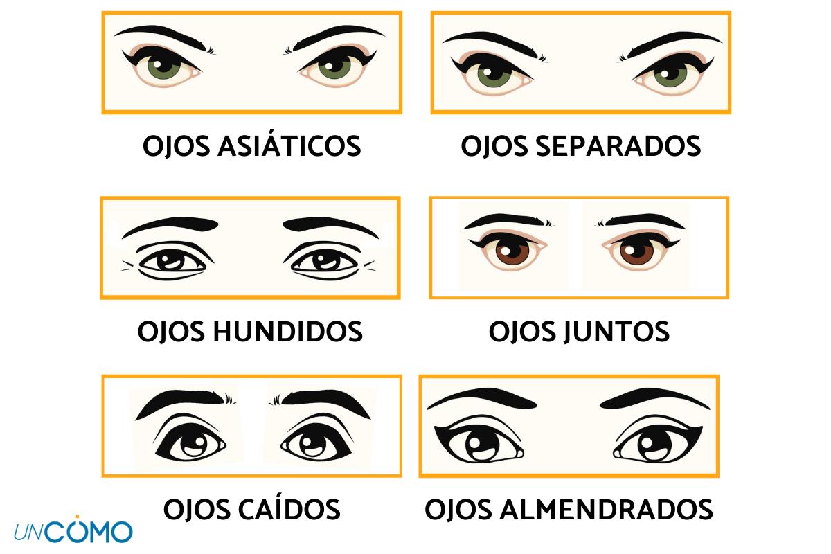 Qué tipos de ojos existen? Conócelos